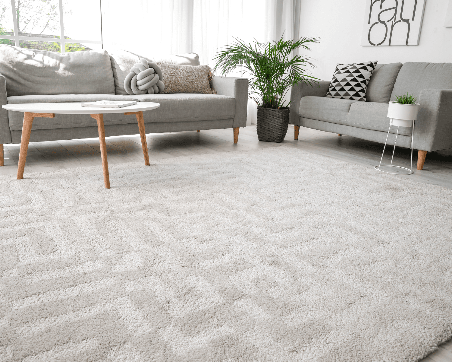Area Rug Cleaning