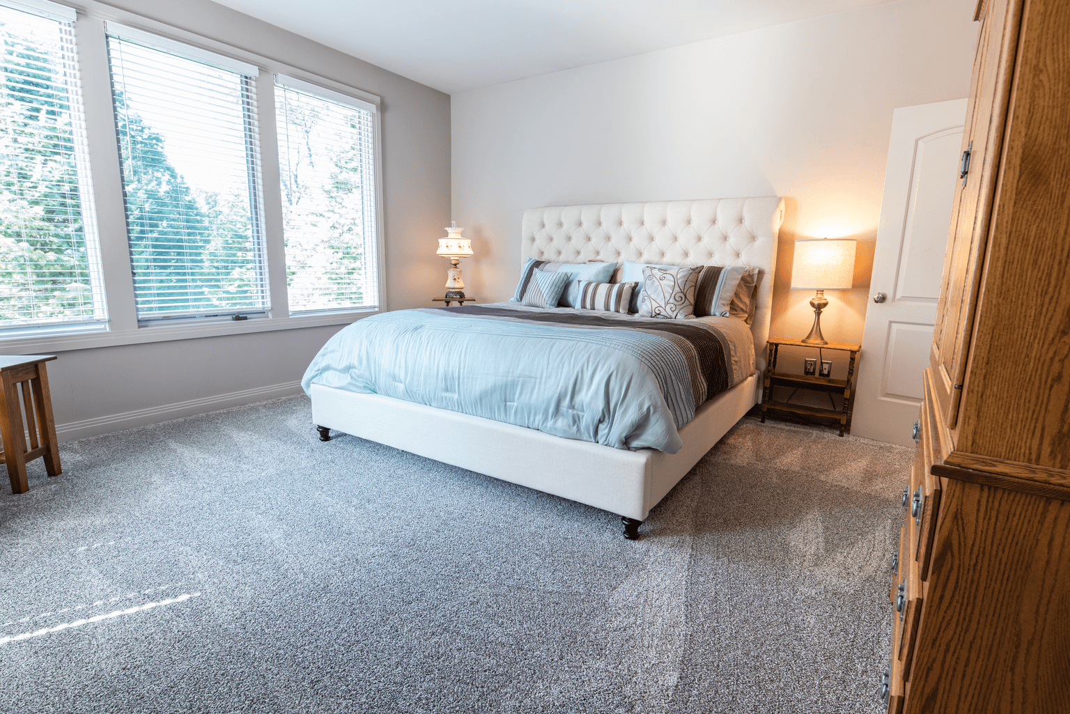 Carpet Cleaning